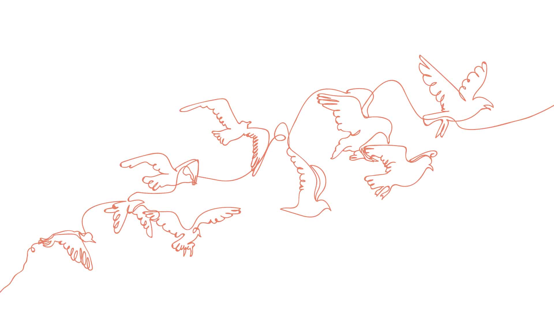 contact-me 提供サービス