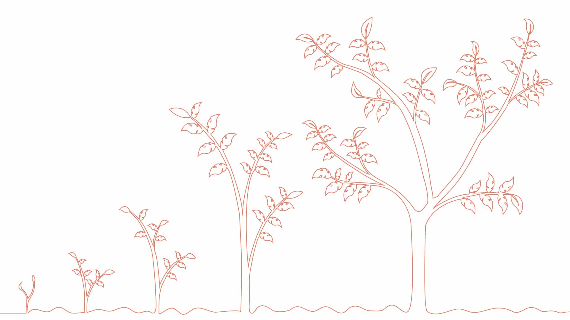 growth オーガニックトラフィックの成長